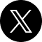 X Icon