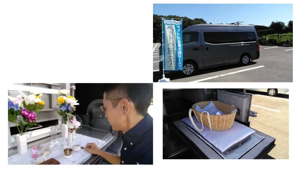 ギャラリー画像 2