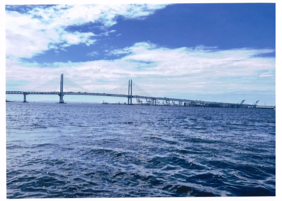 ギャラリー画像 1