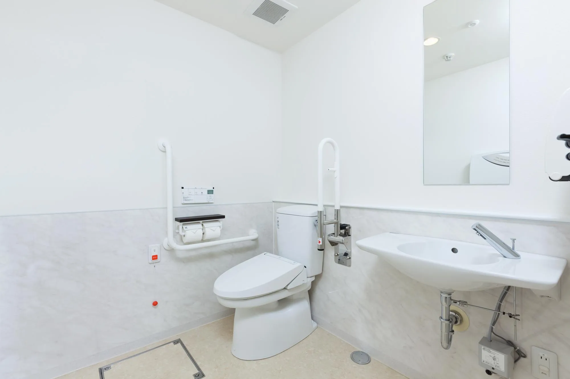 ギャラリー画像 3