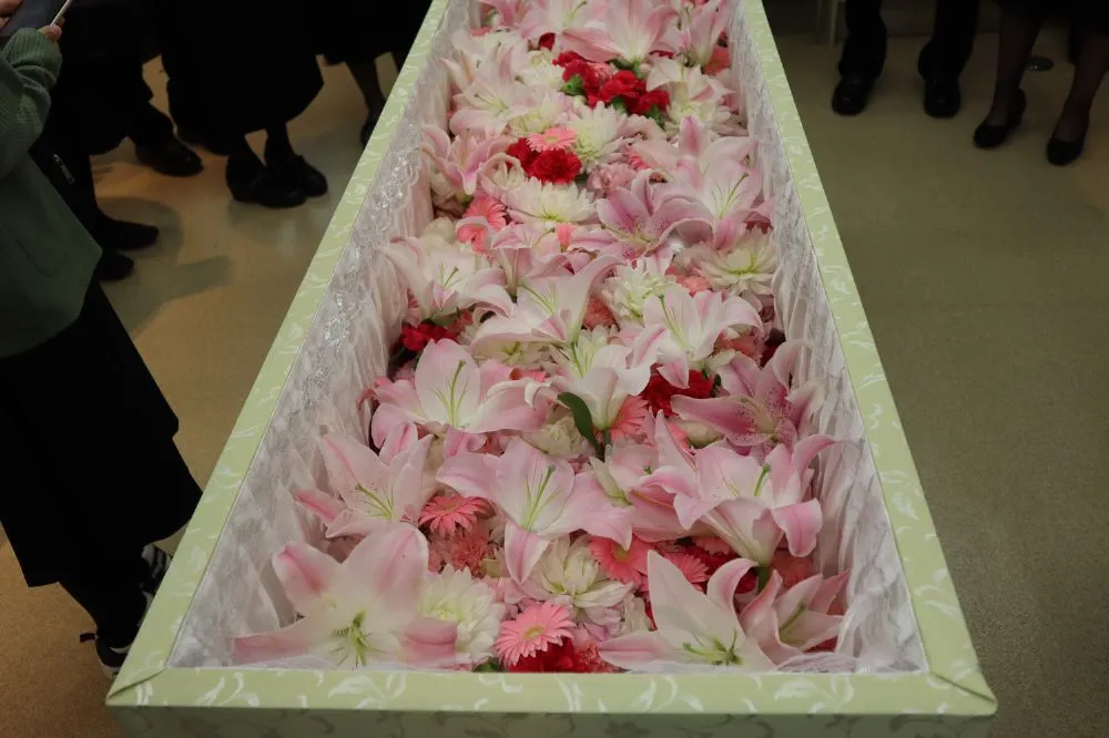 ギャラリー画像 2