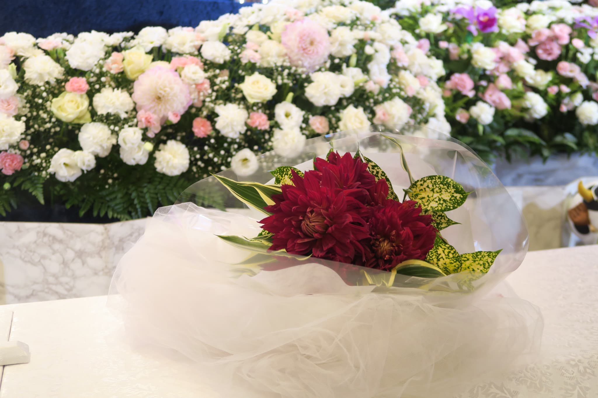 赤いダリアが上に乗っている棺